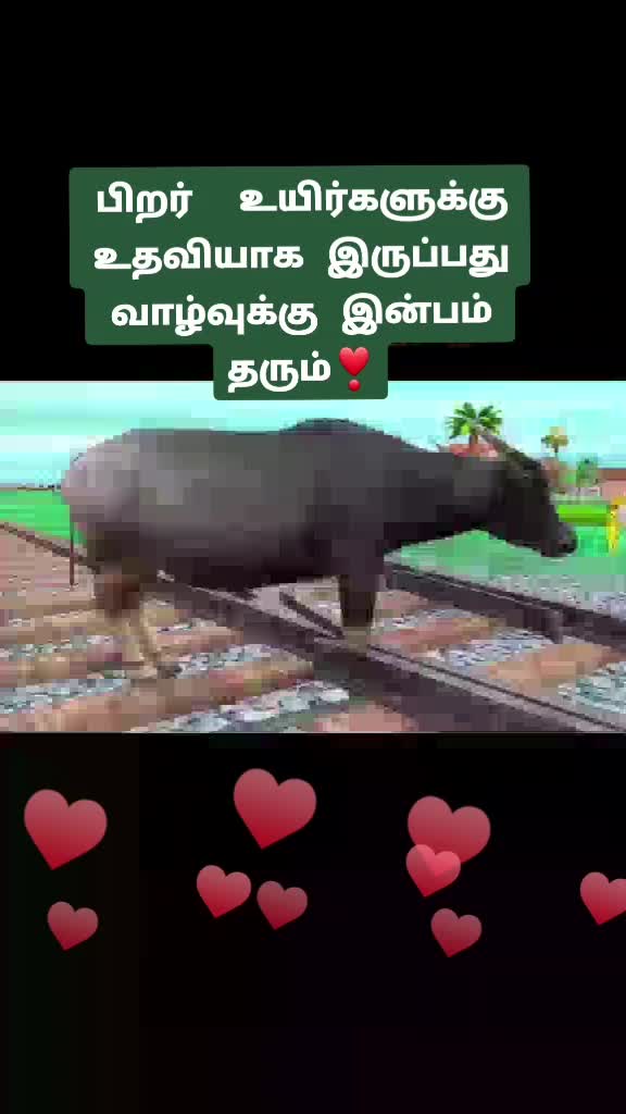 @Anjali