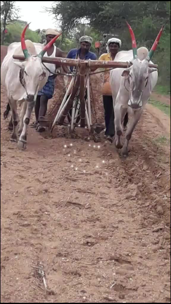 @Basavaraj S B