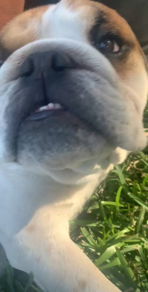 @Miley 🐾🥺❤️