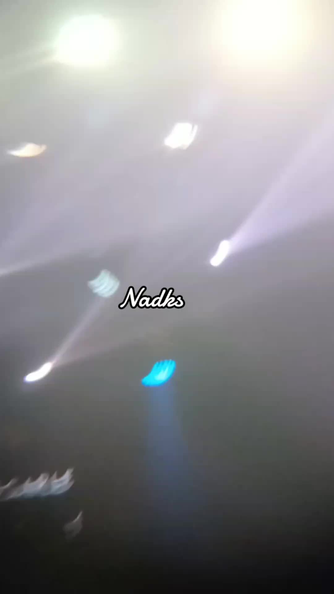 @D🐧.N🐰