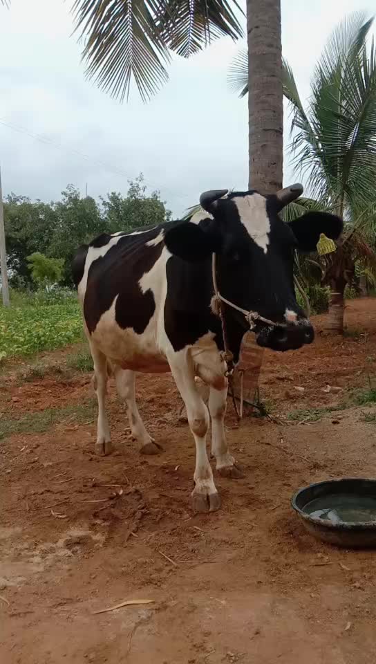 @Anand Gowda H R