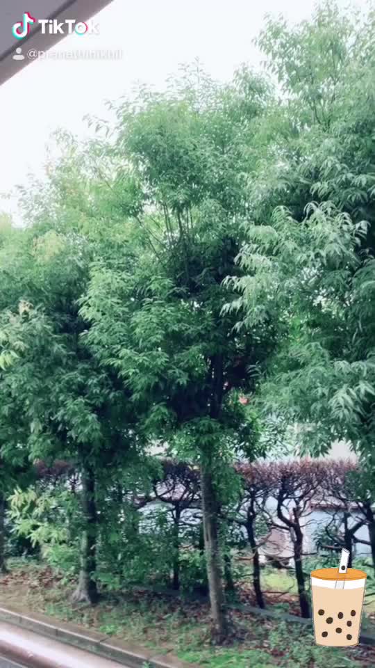 @chakilampranathi