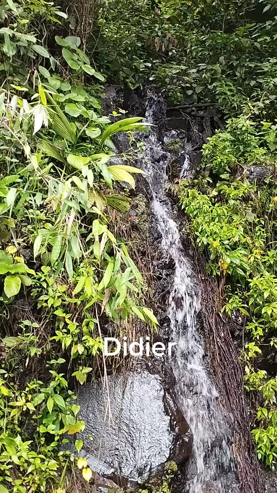 @MUCHU 💎💰💳