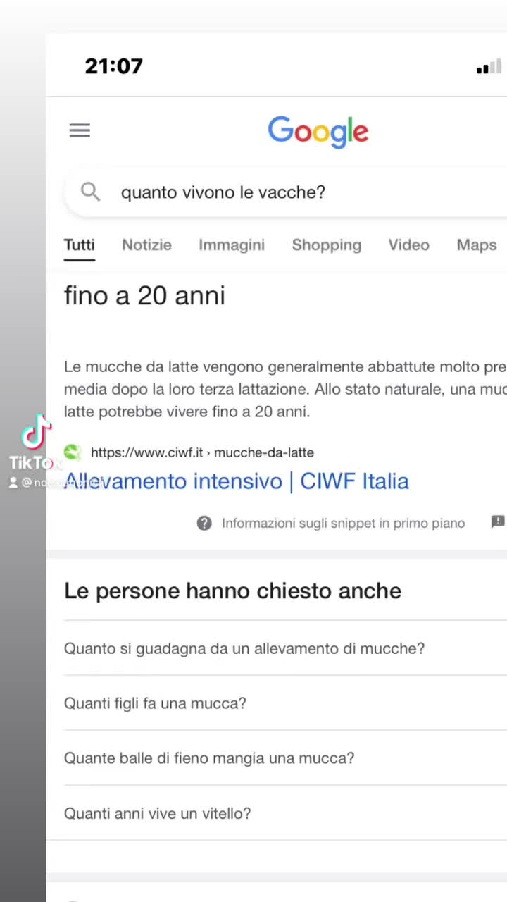 @noemo