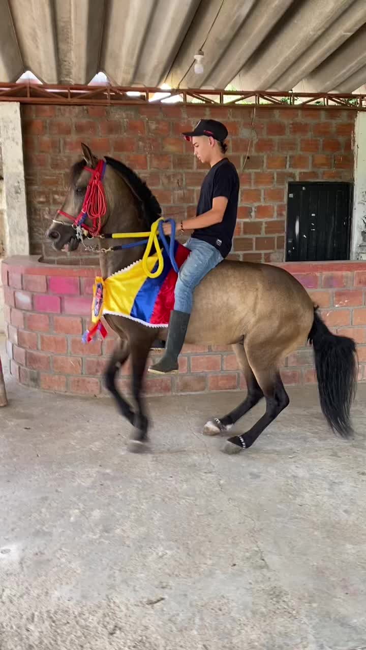 @andres.fiesco_