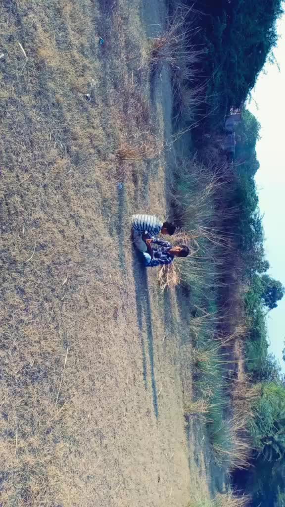 @ramu rowdy