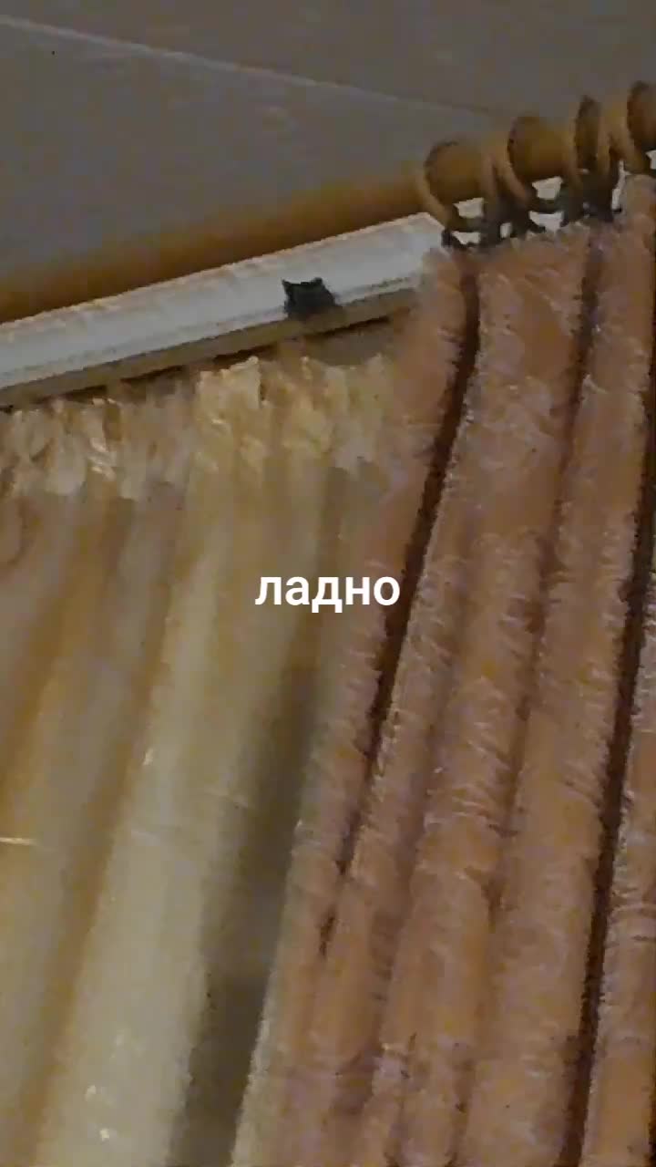 @Пенёк накуренный😜