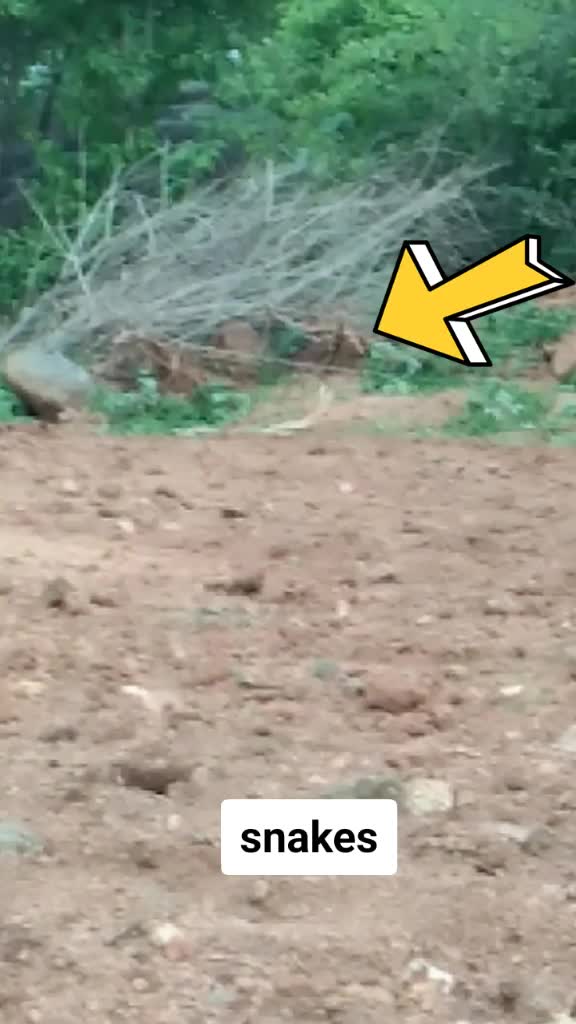 @Abhilashgoud758