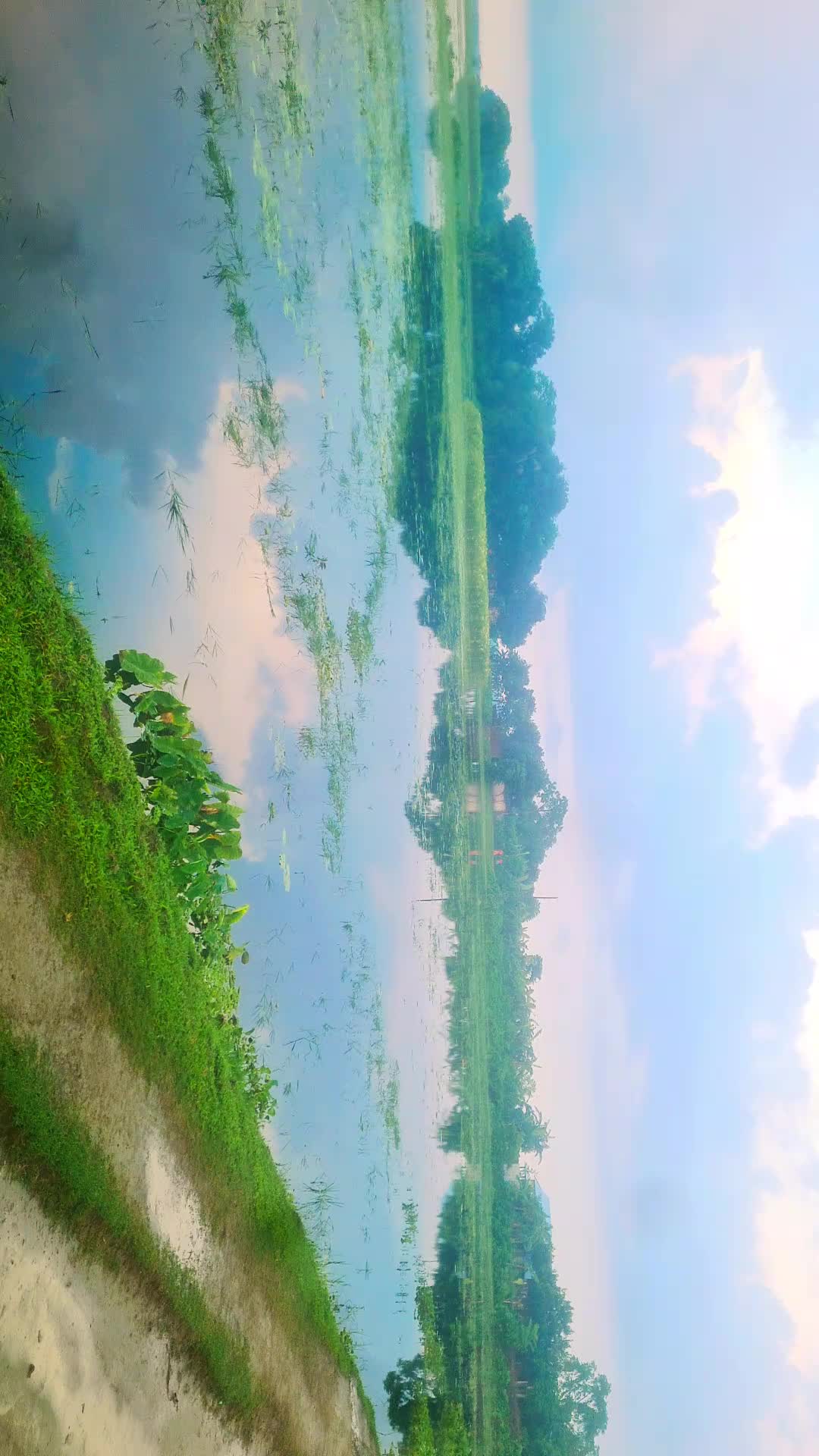 @🇧🇩_HUMAYAN KOBIR BUAYN_🇲🇺