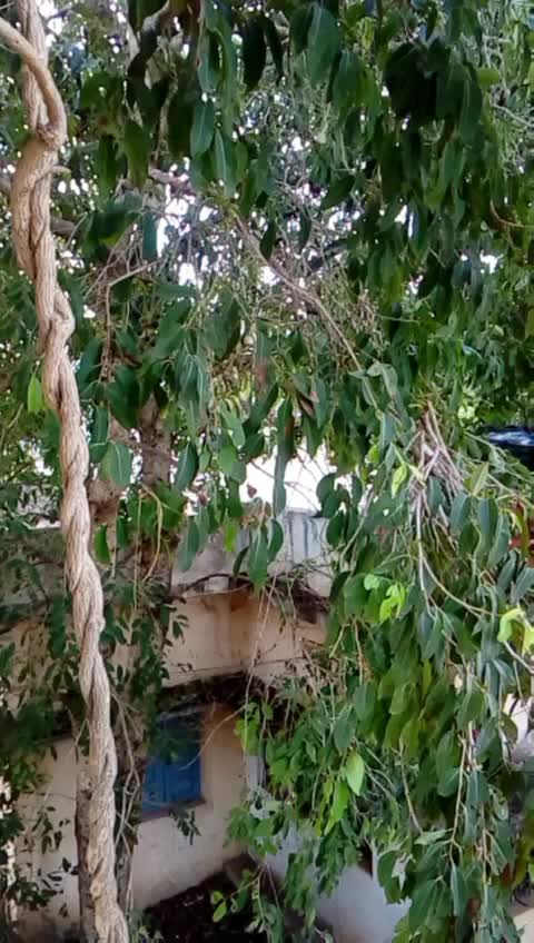 @Bhargavi