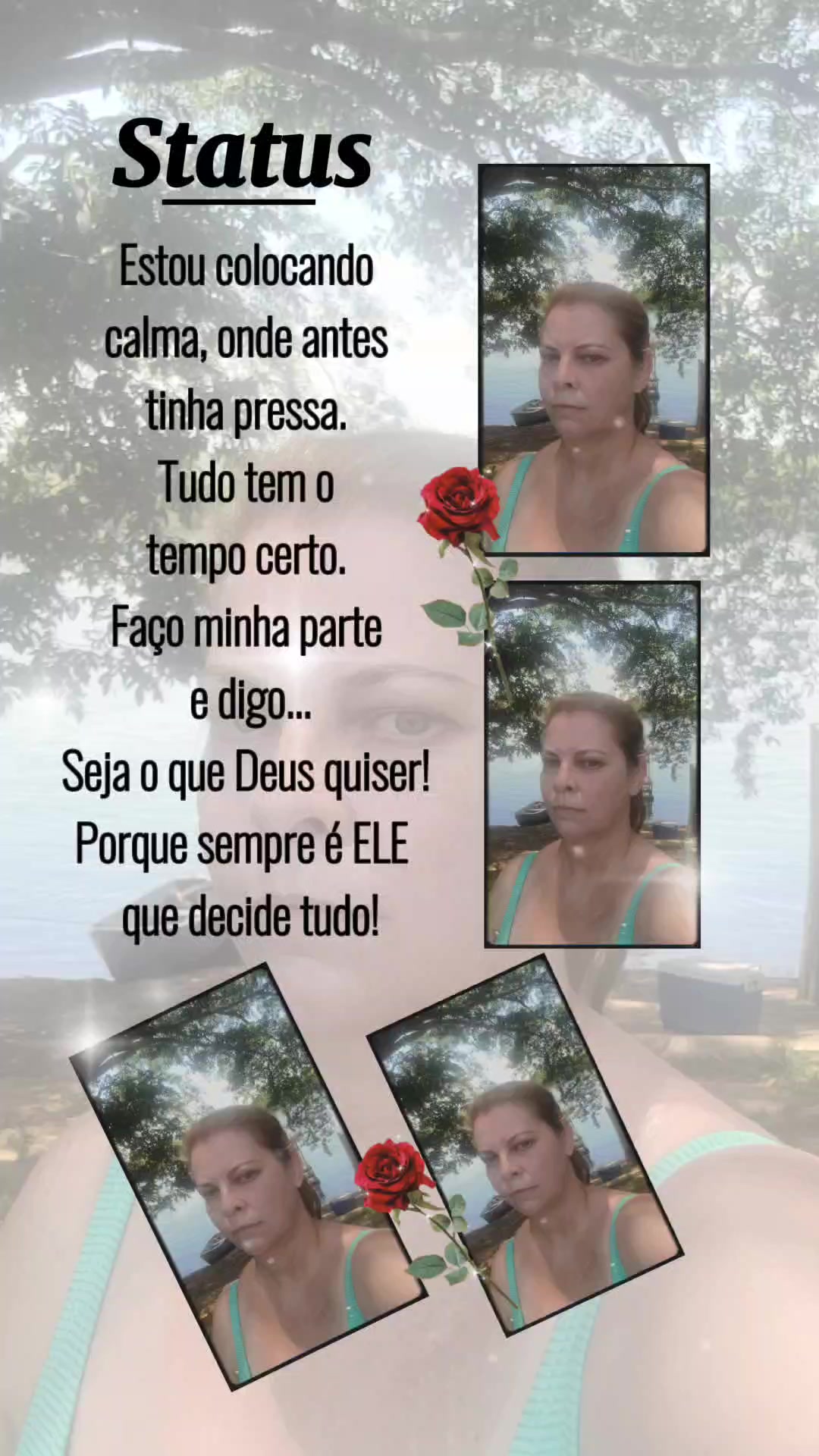 @elisangelabertol51