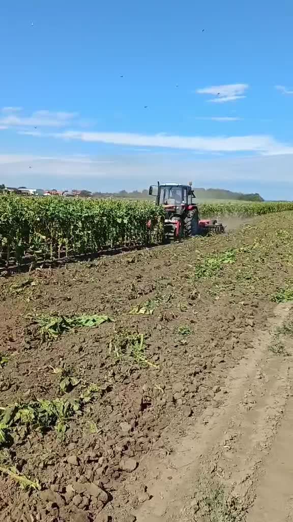 @Agriculture_vojvodina