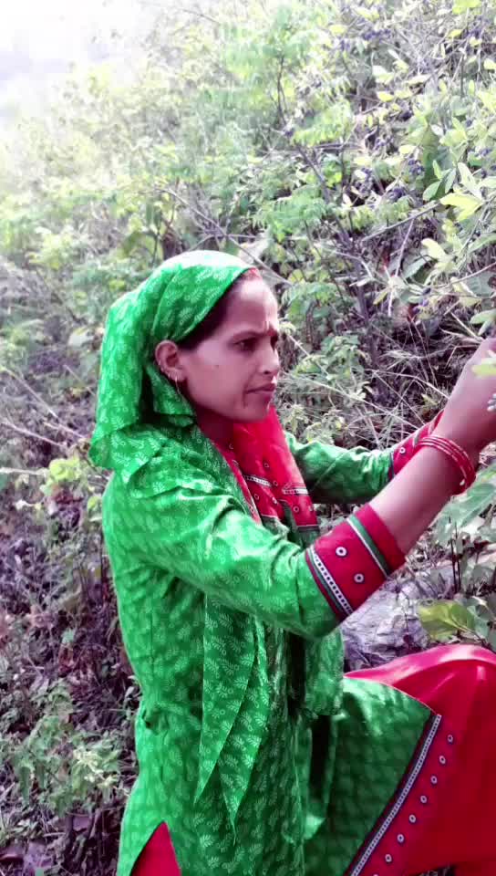 @Laxmi Chauhan