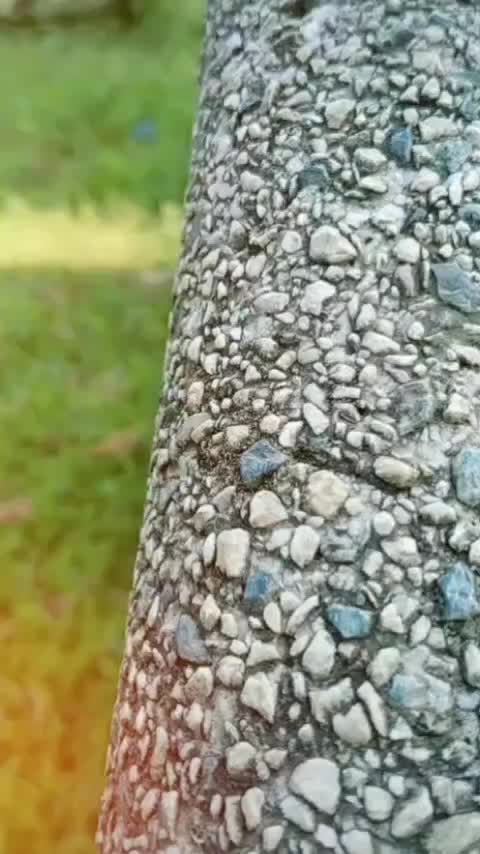 @Sahajad4065
