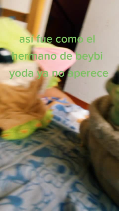 @beybi yoda❤