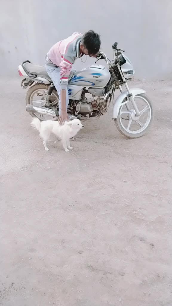 @vijaysinh