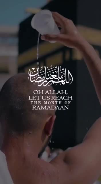 @Rajpoot Ali