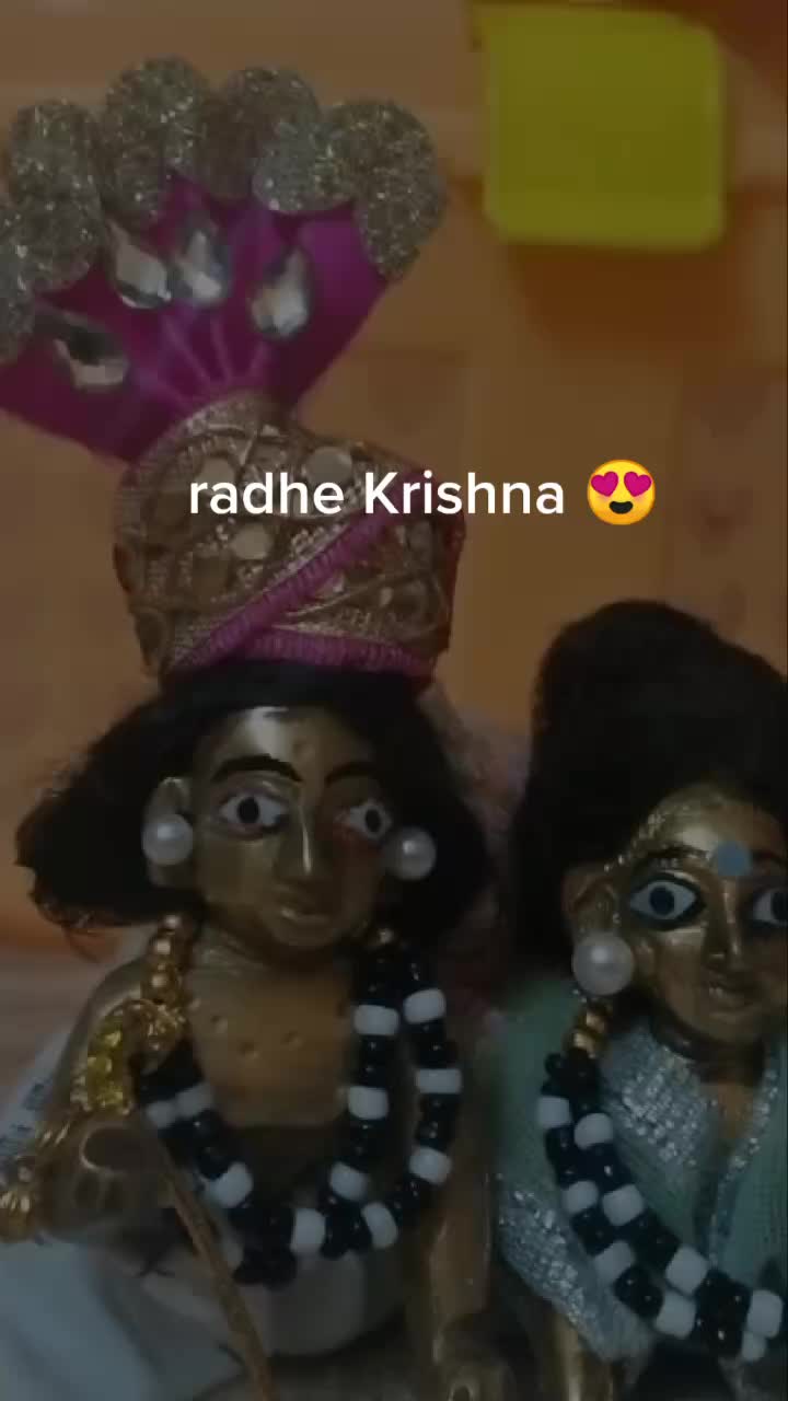 @Palak Ahuja