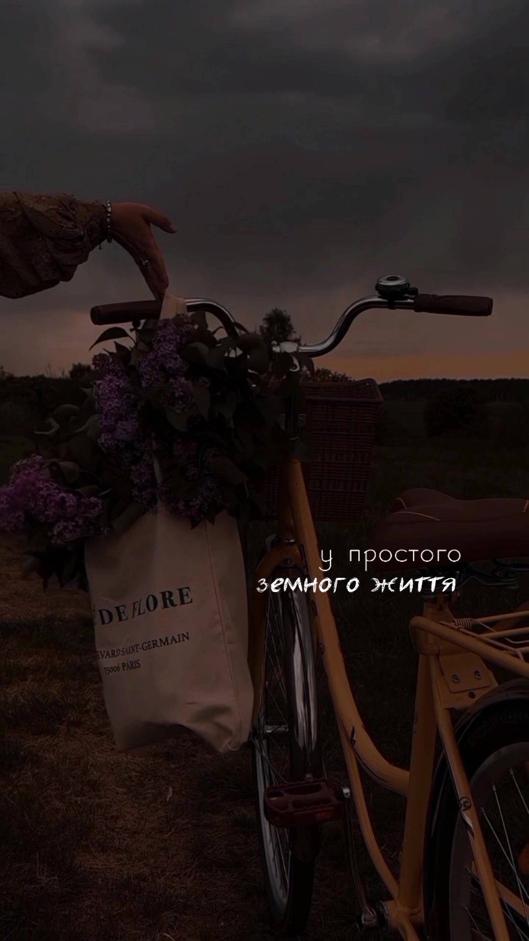 @ғᴏʀ ᴛʜᴇ sᴏᴜʟ