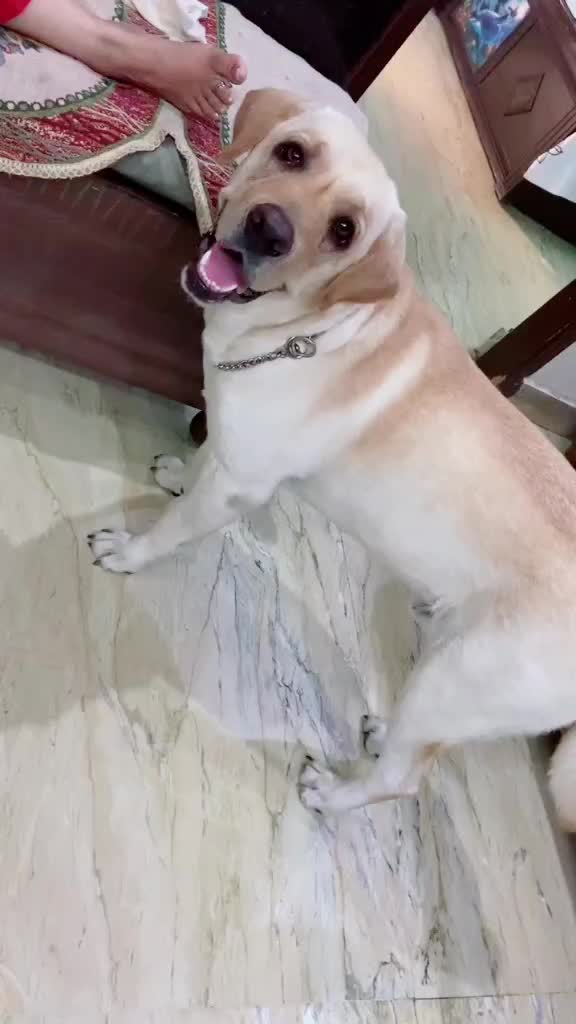 @user38530715122
