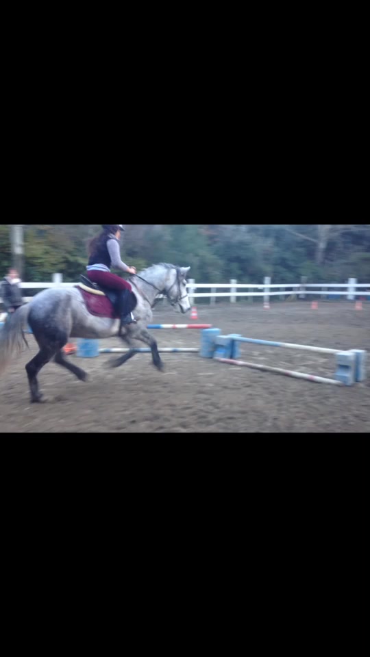 @🐴R&ecirc;ve Compulsif🐴