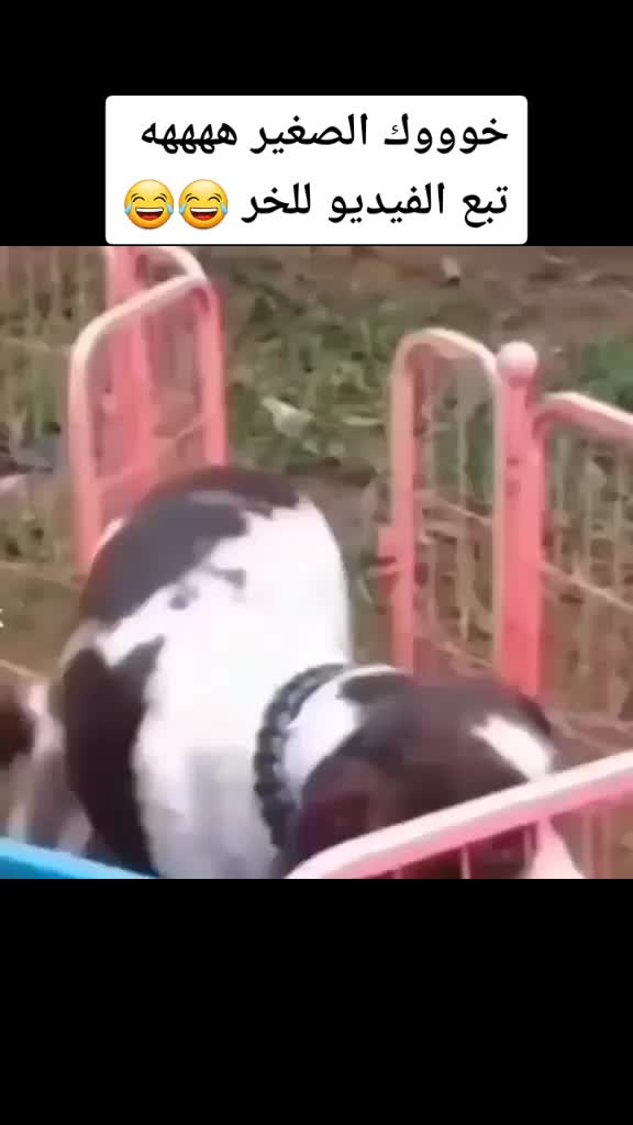 @๐๐ต ๐ญ๐ณ๐ฎ๐ท ๐ฑ