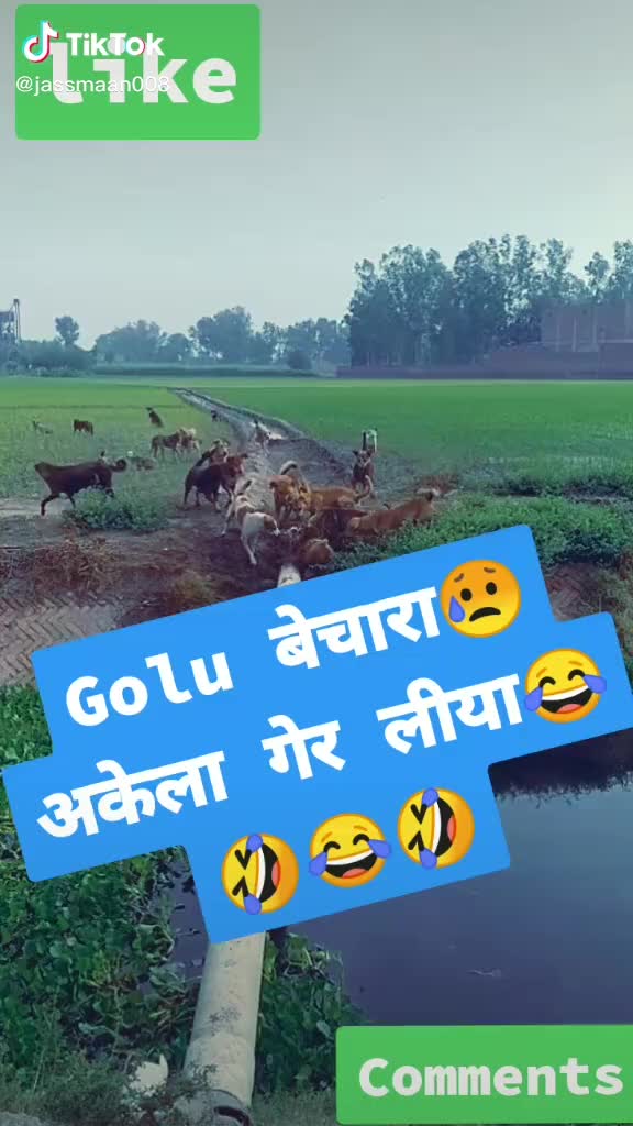 @Neelam Verma
