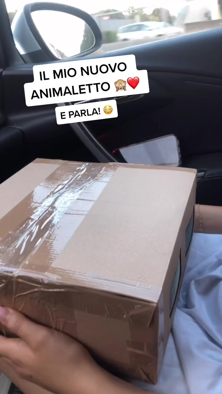 @Official_fake