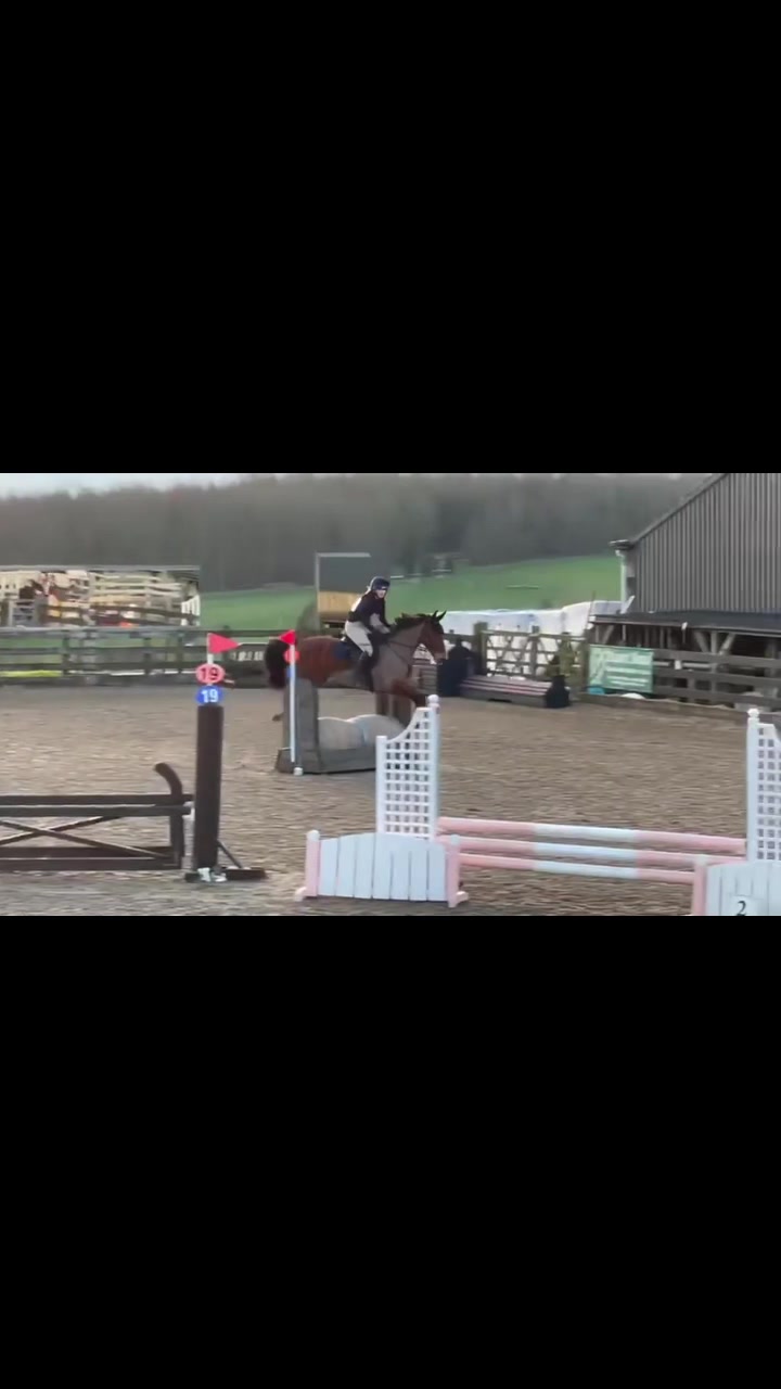 @ypequestrian