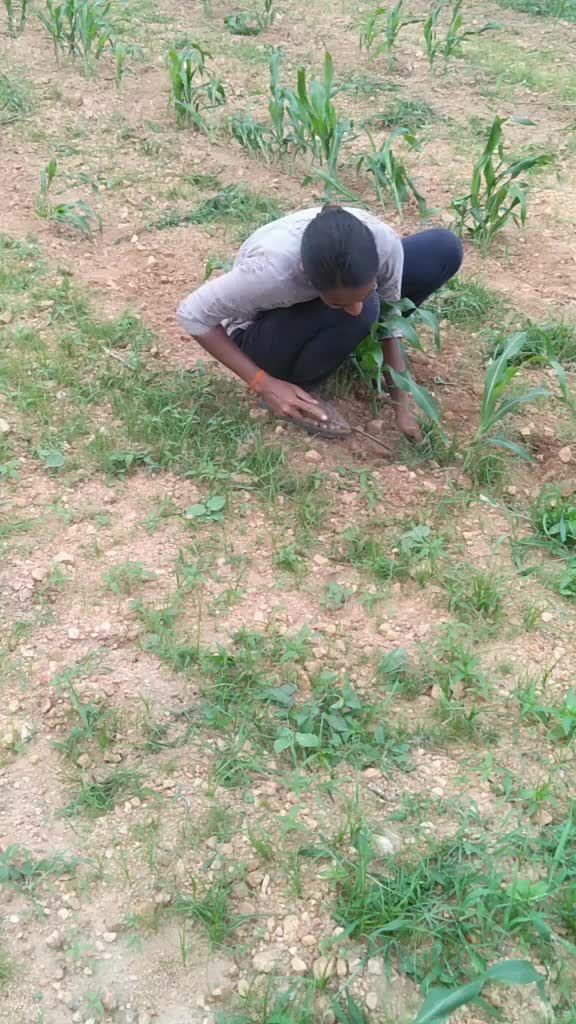 @Badugula Karthik