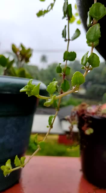 @JO____റാന്നിക്കാരന്