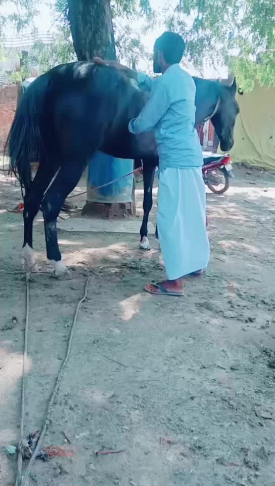 @Mohd Amaan