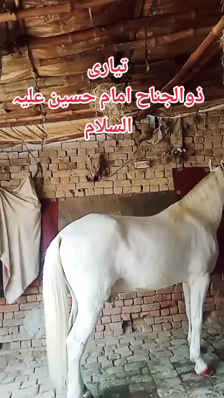 @Awais Tashan