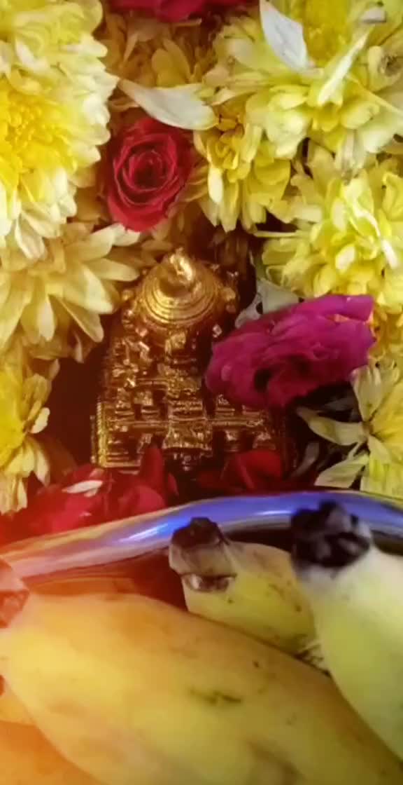 @spandana kumar