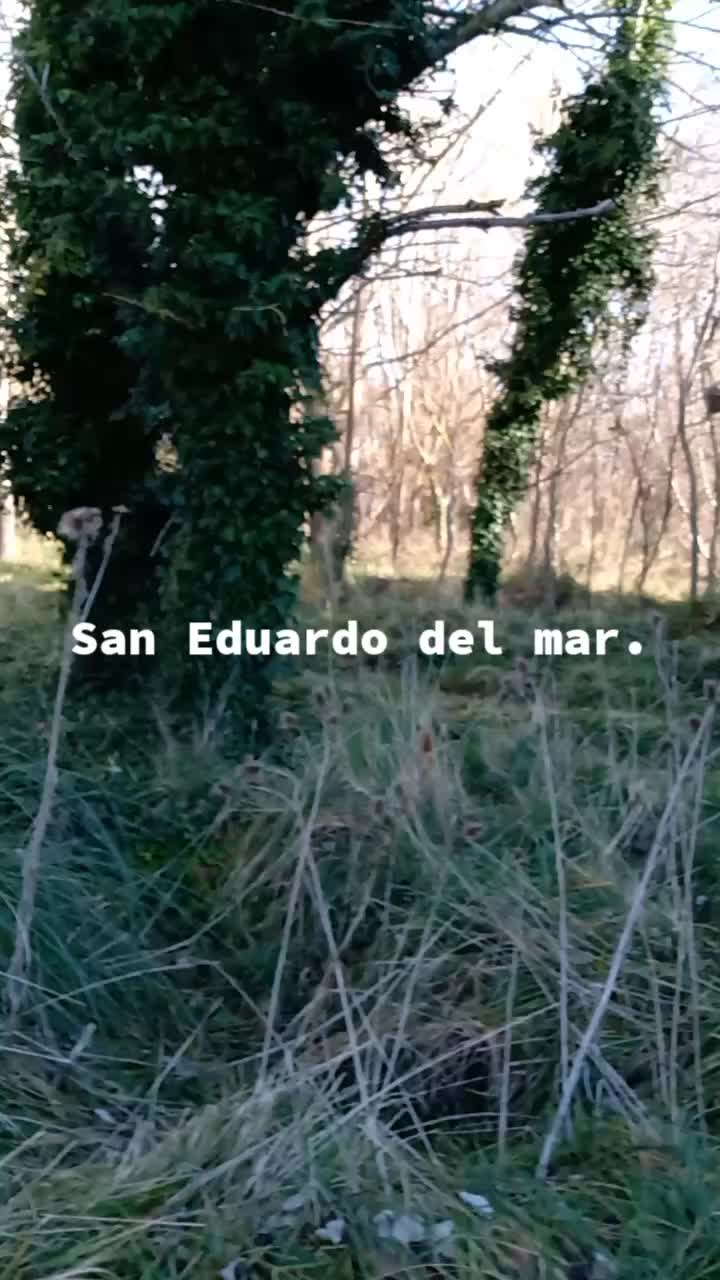 @Cristian