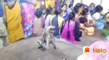 @visa13041999