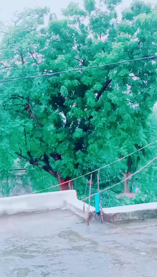 @TIK Tok My Life Line