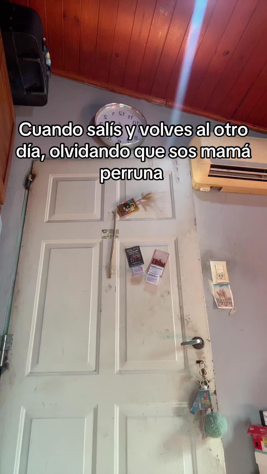 @Cinthia M✨