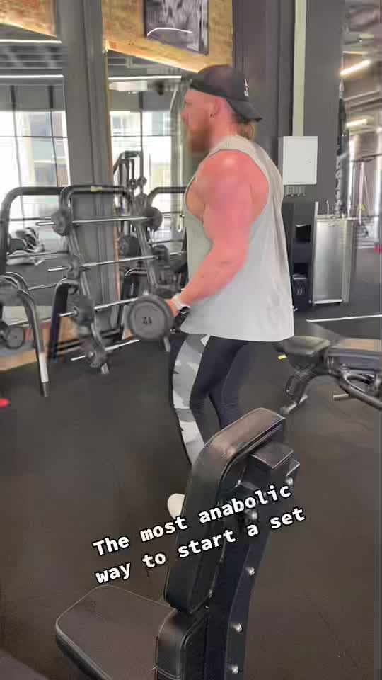 @Vanilla Gorilla 🦍