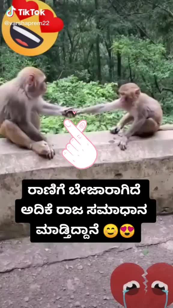 @madhu Gowda d boss