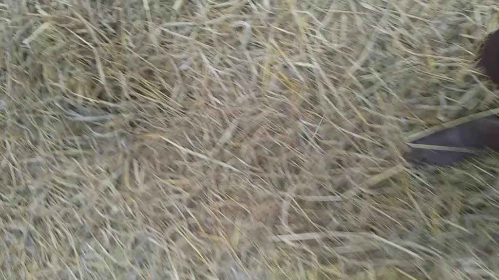 @@deb12345
