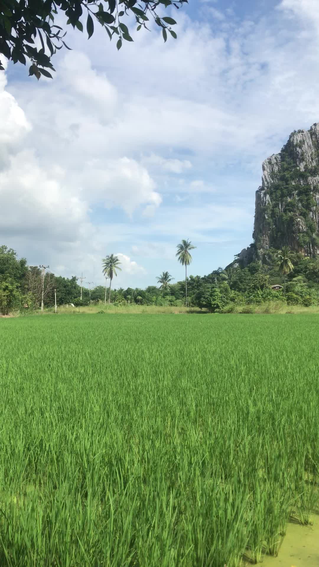 @คนสร้างฝัน