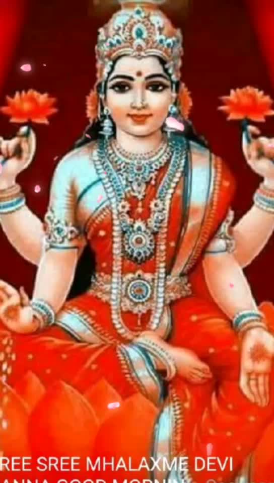 @user53001516660