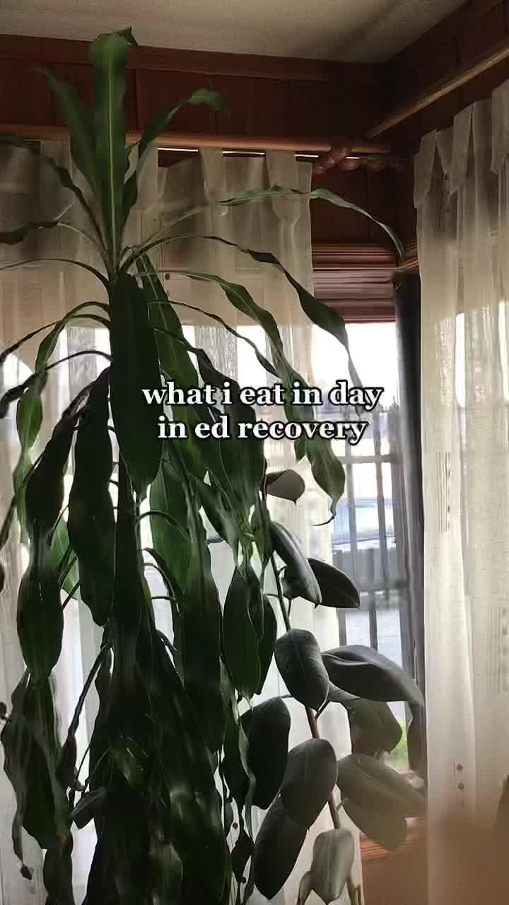 @୧ ♡ ୨