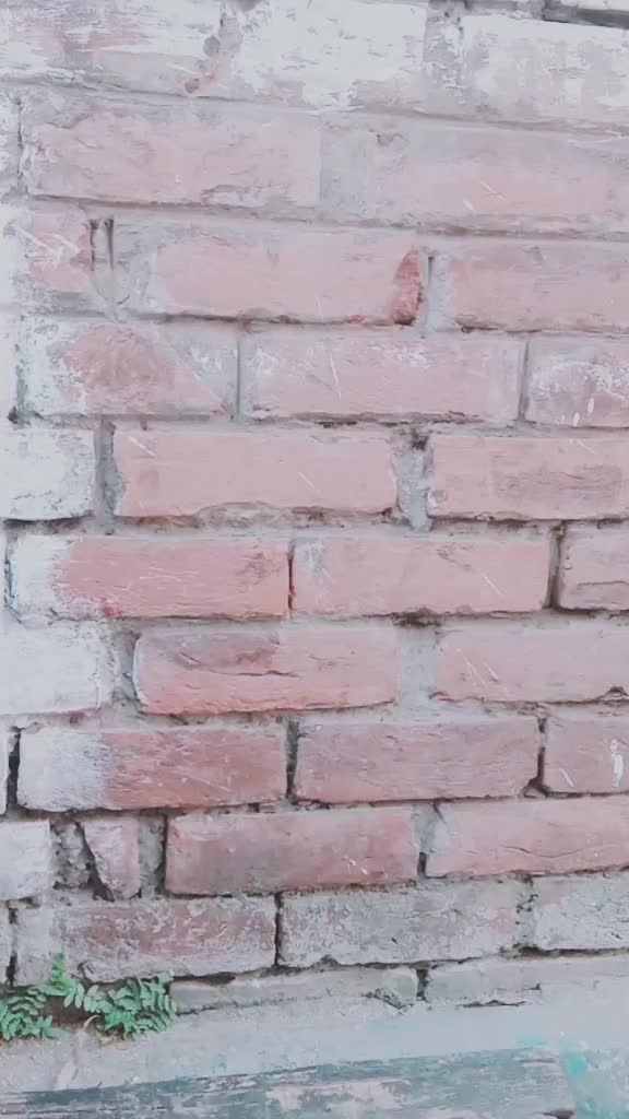 @ĎÄŔÎY MÏĹK BÔŸ