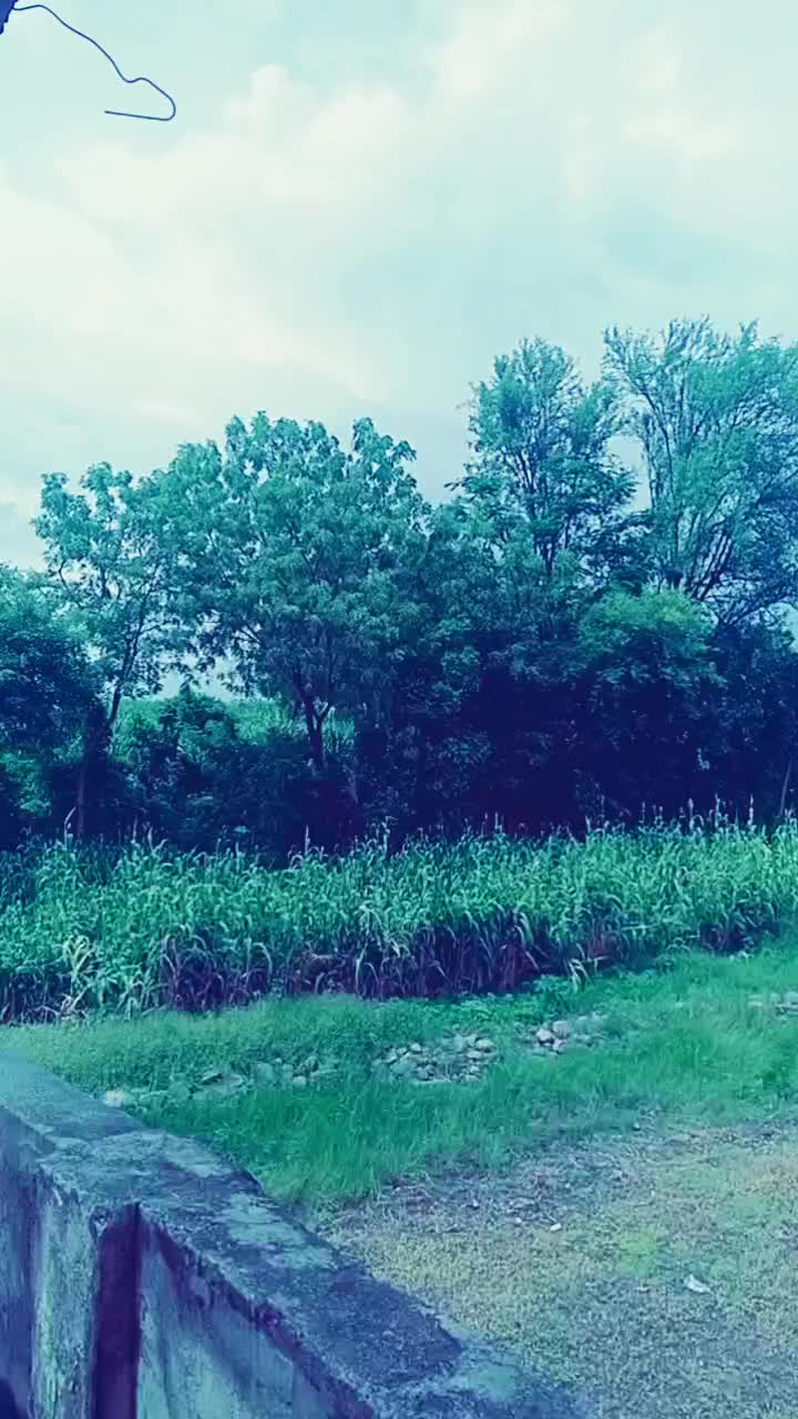 @SuryakantPanchal
