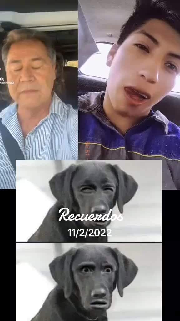 @perrowhat