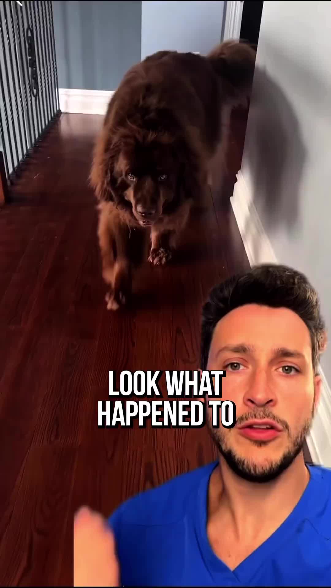 @mikhail varshavski