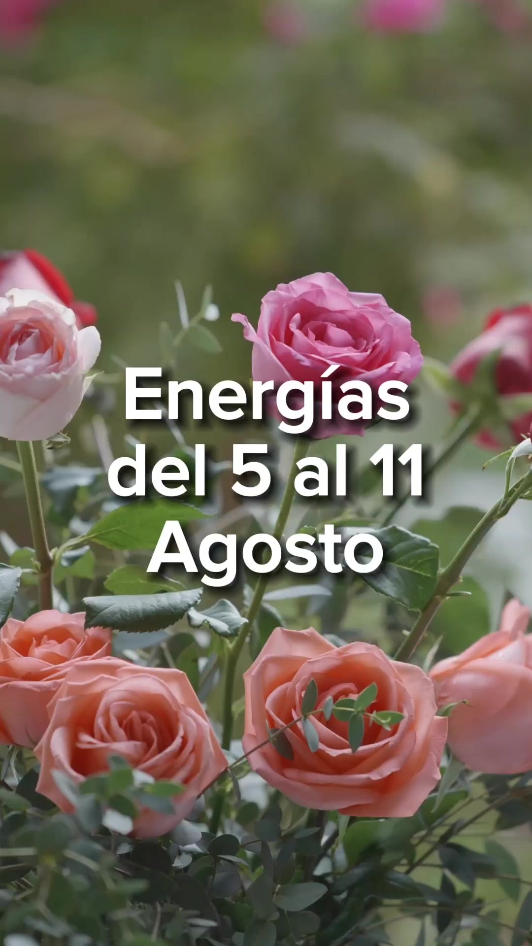 @numerosescenciales