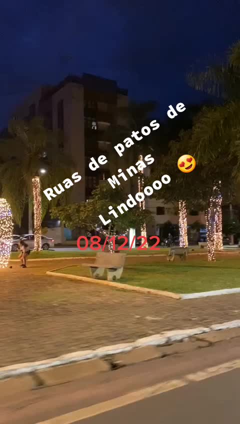 @aparecidamachado303